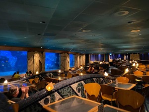 Reef