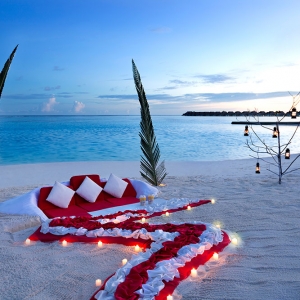Destination Dining