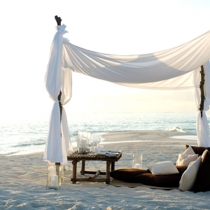 Beach Dining Events