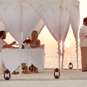 Dining by Design